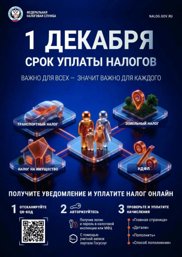 СРОК УПЛАТЫ НАЛОГОВ 1 ДЕКАБРЯ